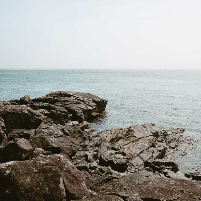 ocean and rocks